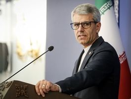 بقایی: با نگاه نتیجه‌محور وارد مذاکرات شدیم/ لاریجانی به قطر سفر می‌کند